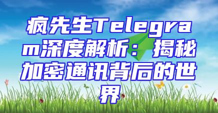 疯先生Telegram深度解析：揭秘加密通讯背后的世界