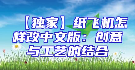 【独家】纸飞机怎样改中文版：创意与工艺的结合