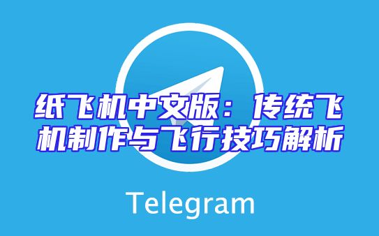 纸飞机中文版：传统飞机制作与飞行技巧解析