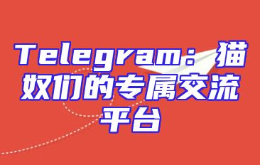 Telegram：猫奴们的专属交流平台