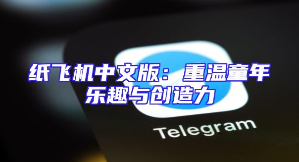 纸飞机中文版：重温童年乐趣与创造力