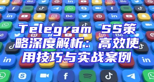 Telegram SS策略深度解析：高效使用技巧与实战案例