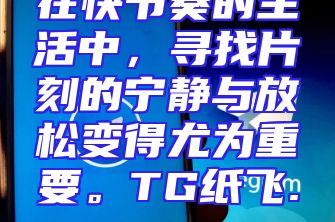 在快节奏的生活中，寻找片刻的宁静与放松变得尤为重要。TG纸飞...
