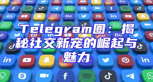 Telegram圈：揭秘社交新宠的崛起与魅力