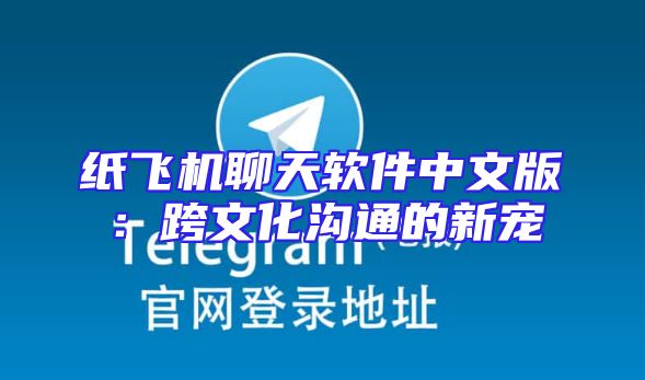 纸飞机聊天软件中文版：跨文化沟通的新宠