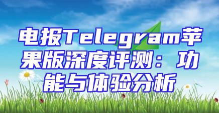 电报Telegram苹果版深度评测：功能与体验分析