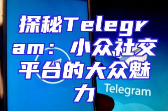 探秘Telegram：小众社交平台的大众魅力