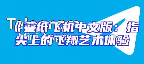 《叠纸飞机中文版：指尖上的飞翔艺术体验