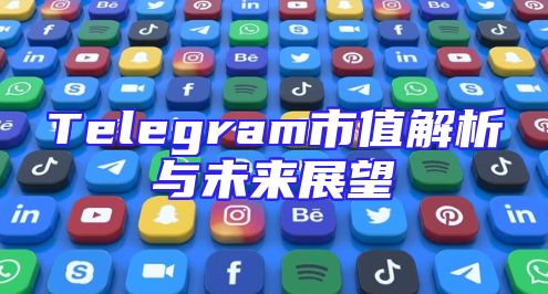 Telegram市值解析与未来展望