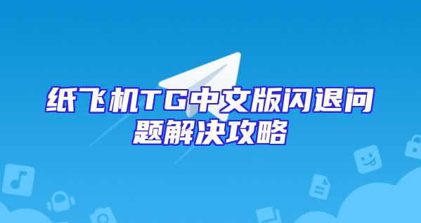 纸飞机TG中文版闪退问题解决攻略