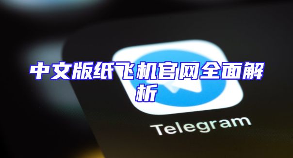 中文版纸飞机官网全面解析