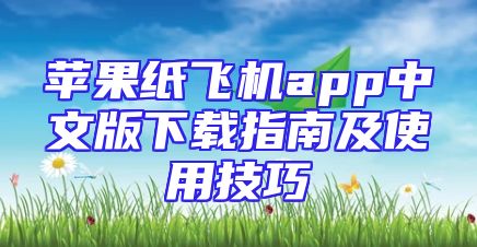 苹果纸飞机app中文版下载指南及使用技巧
