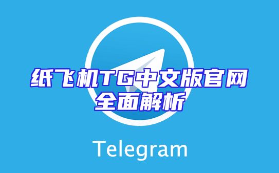 纸飞机TG中文版官网全面解析