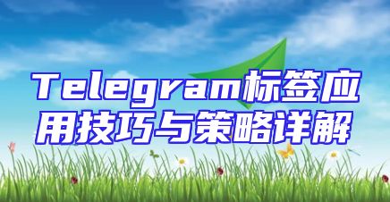 Telegram标签应用技巧与策略详解
