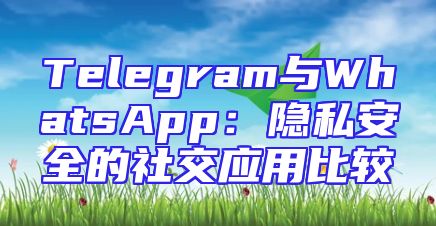 Telegram与WhatsApp：隐私安全的社交应用比较