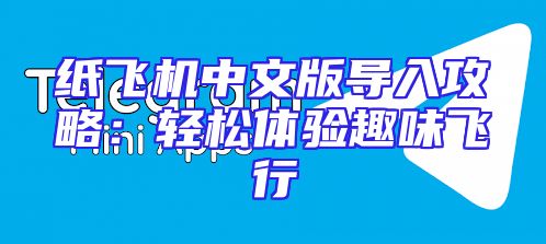 纸飞机中文版导入攻略：轻松体验趣味飞行