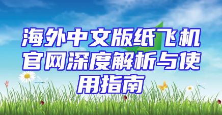 海外中文版纸飞机官网深度解析与使用指南