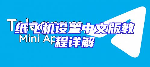 纸飞机设置中文版教程详解