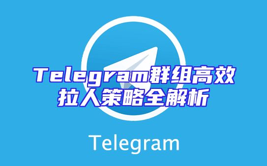 Telegram群组高效拉人策略全解析