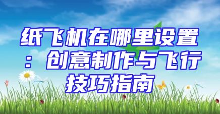 纸飞机在哪里设置：创意制作与飞行技巧指南