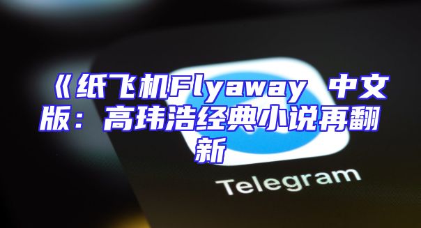 《纸飞机Flyaway 中文版：高玮浩经典小说再翻新