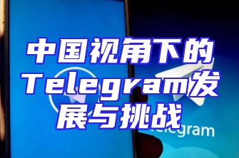 中国视角下的Telegram发展与挑战