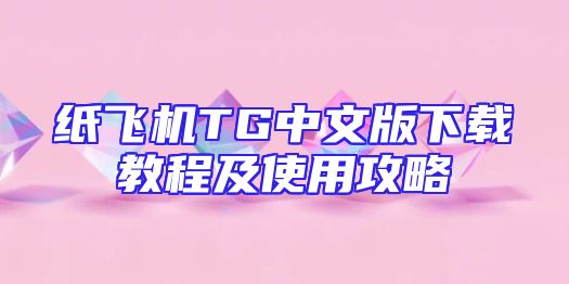 纸飞机TG中文版下载教程及使用攻略