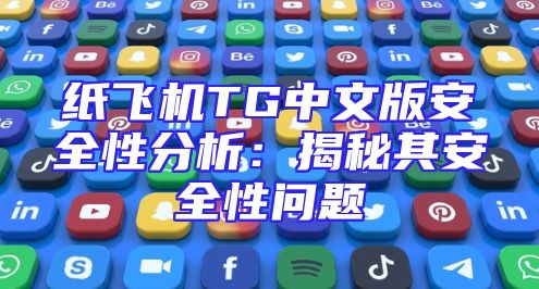 纸飞机TG中文版安全性分析：揭秘其安全性问题