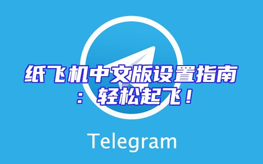 纸飞机中文版设置指南：轻松起飞！
