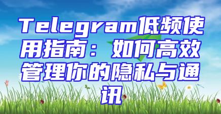 Telegram低频使用指南：如何高效管理你的隐私与通讯