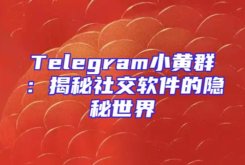 Telegram小黄群：揭秘社交软件的隐秘世界