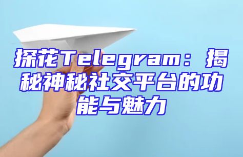 探花Telegram：揭秘神秘社交平台的功能与魅力