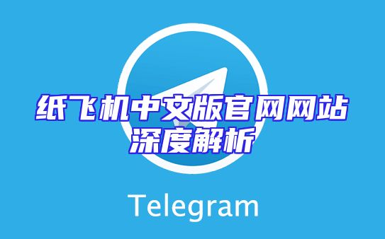 纸飞机中文版官网网站深度解析