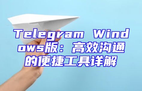 Telegram Windows版：高效沟通的便捷工具详解