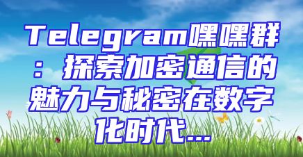 Telegram嘿嘿群：探索加密通信的魅力与秘密在数字化时代...