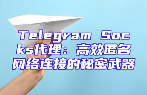 Telegram Socks代理：高效匿名网络连接的秘密武器