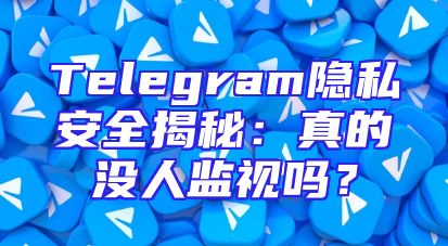Telegram隐私安全揭秘：真的没人监视吗？
