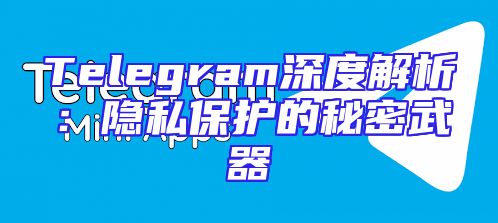 Telegram深度解析：隐私保护的秘密武器
