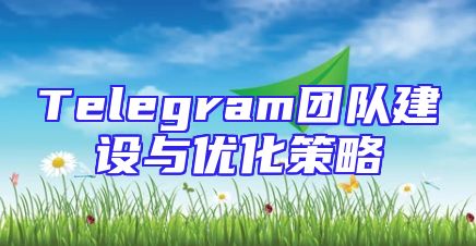 Telegram团队建设与优化策略