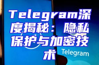 Telegram深度揭秘：隐私保护与加密技术