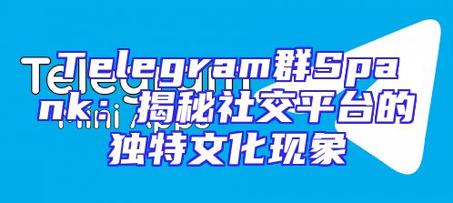 Telegram群Spank：揭秘社交平台的独特文化现象