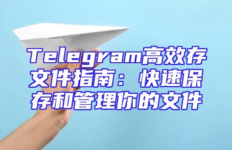 Telegram高效存文件指南：快速保存和管理你的文件