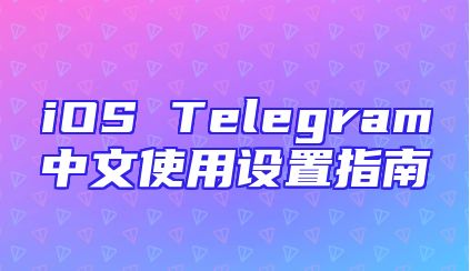 iOS Telegram中文使用设置指南