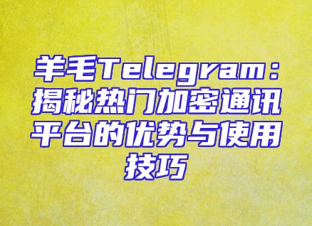 羊毛Telegram：揭秘热门加密通讯平台的优势与使用技巧