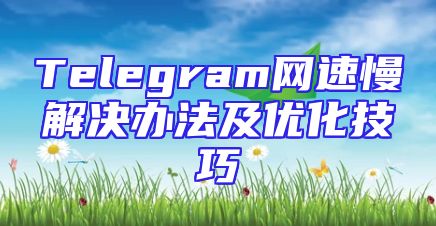 Telegram网速慢解决办法及优化技巧