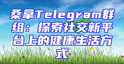 桑拿Telegram群组：探索社交新平台上的健康生活方式