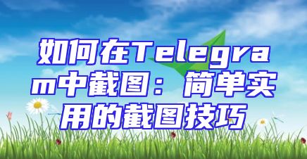 如何在Telegram中截图：简单实用的截图技巧