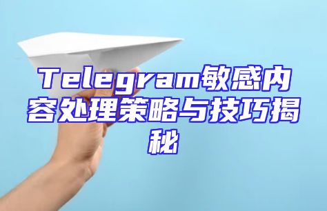 Telegram敏感内容处理策略与技巧揭秘