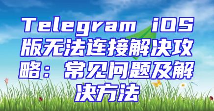 Telegram iOS版无法连接解决攻略：常见问题及解决方法