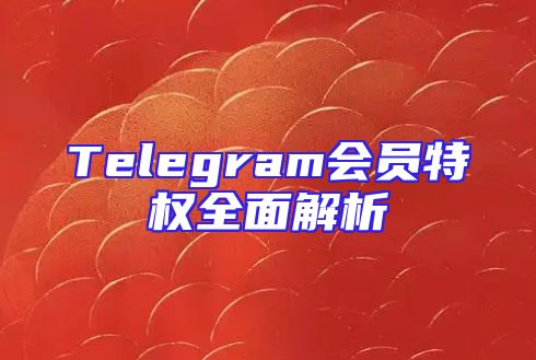 Telegram会员特权全面解析